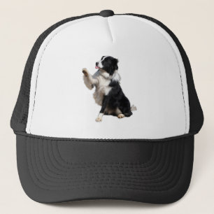 Border-Collie Truckerkappe