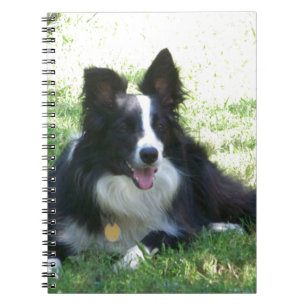 Border Collie Tshirts Notizblock