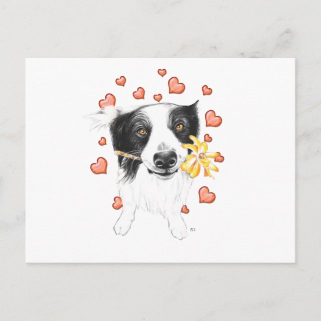 Border Collie und Herz Postkarte (Vorderseite)