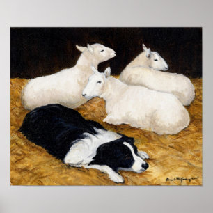 Border Collie und Sheep Dog Art drucken Poster