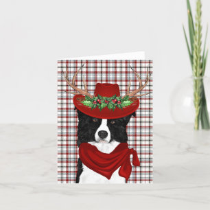 Border Collie und Western Kariert Weihnachten