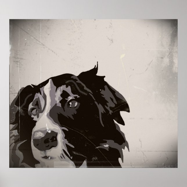 Border Collie urban no 1 art poster (Vorne)