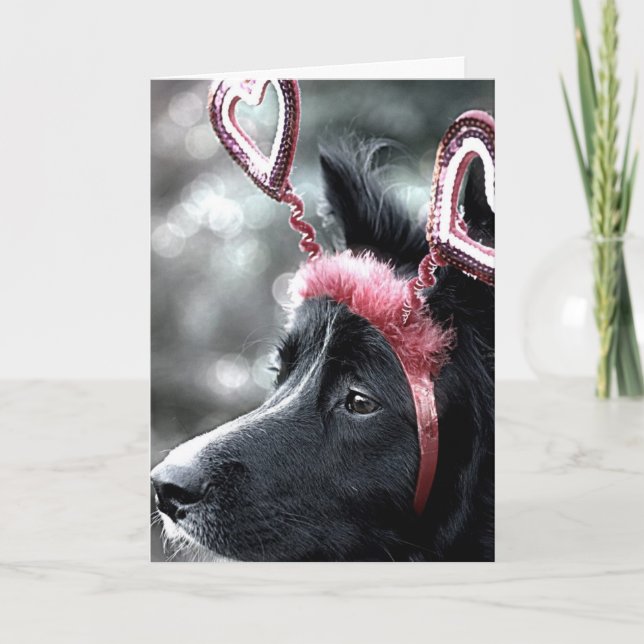 Border Collie Valentine Card Feiertagskarte (Vorderseite)