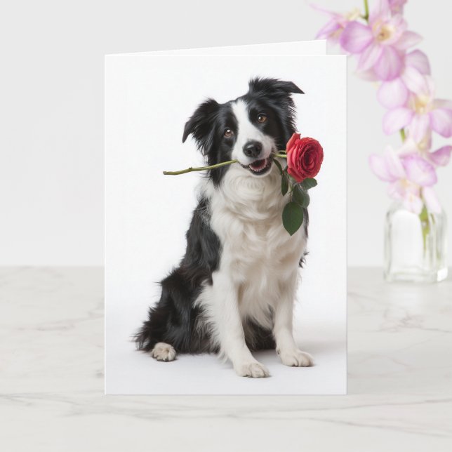 Border Collie Valentine Karte (Orchidee)