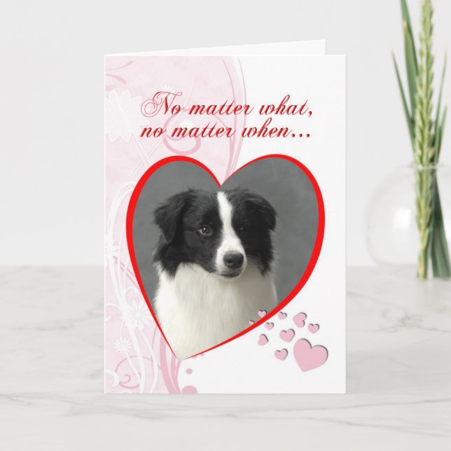 Border-Collie-Valentinsgruß Feiertagskarte (Vorderseite)