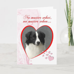 Border-Collie-Valentinsgruß Feiertagskarte