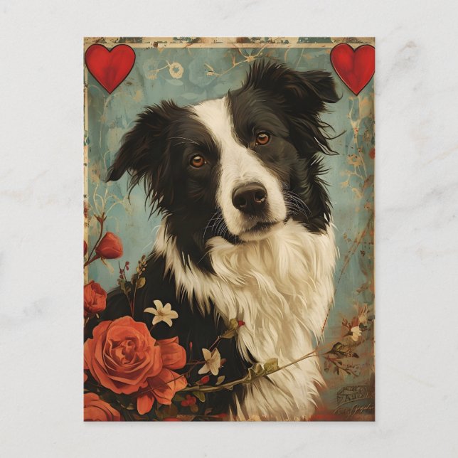 Border Collie Vintag Valentinstag Postkarte (Vorderseite)