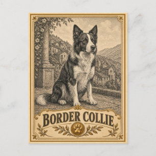 Border Collie, Vintage Heritage Hund Postkarte