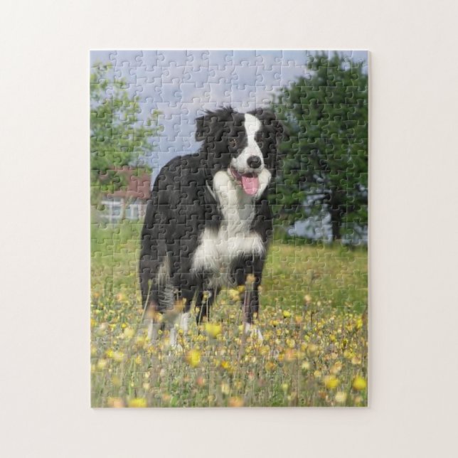 Border-Collie volles 3.png Puzzle (Vertikal)