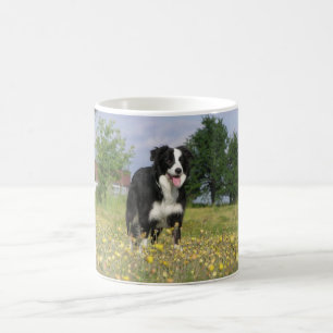 Border-Collie volles 3.png Tasse
