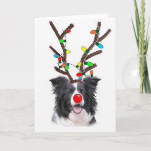 Border-Collie-Weihnachten Card~Rudolph Feiertagskarte