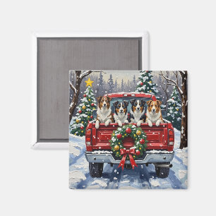 Border Collie Weihnachten Roter LKW Urlaub Magnet