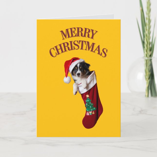 Border Collie Weihnachts-Strumpf Karte (Vorderseite)