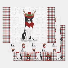 Border Collie Weihnachtshund und Western Kariert Geschenkpapier Set