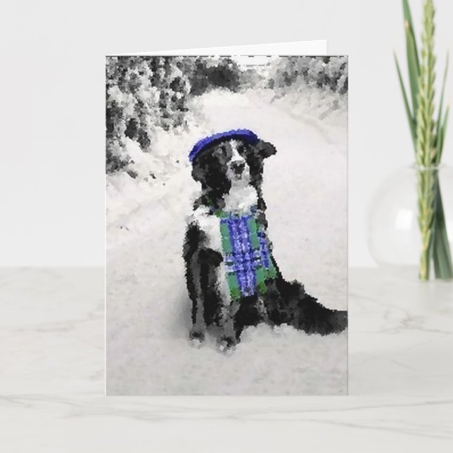 Border Collie Weihnachtskarte Feiertagskarte (Vorderseite)