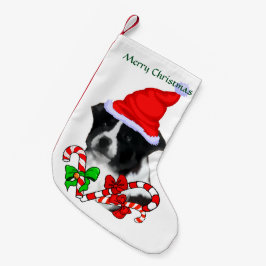 Border Collie Weihnachtsmannmütze Weihnachten Kleiner Weihnachtsstrumpf