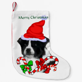 Border Collie Weihnachtsmannmütze Weihnachten Kleiner Weihnachtsstrumpf