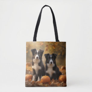Border Collie Welpe Autumn Delight Pumpen