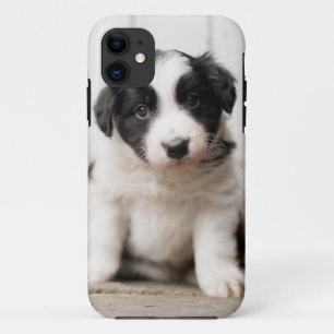 Border-Collie-Welpe Case-Mate iPhone Hülle