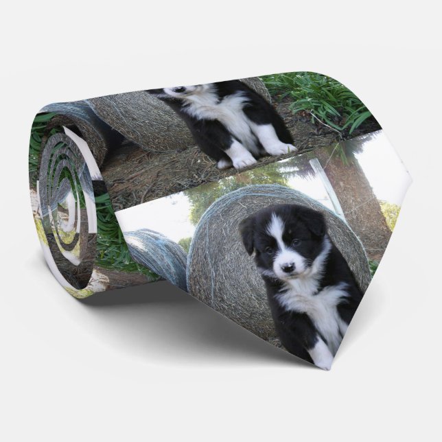 Border Collie Welpe Farm Life, Krawatte (Gerollt)