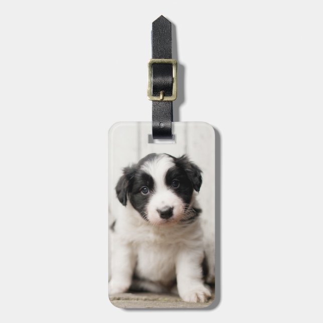 Border-Collie-Welpe Gepäckanhänger (Vorderseite vertikal)