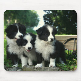 Border Collie Welpe Hund Mousepad