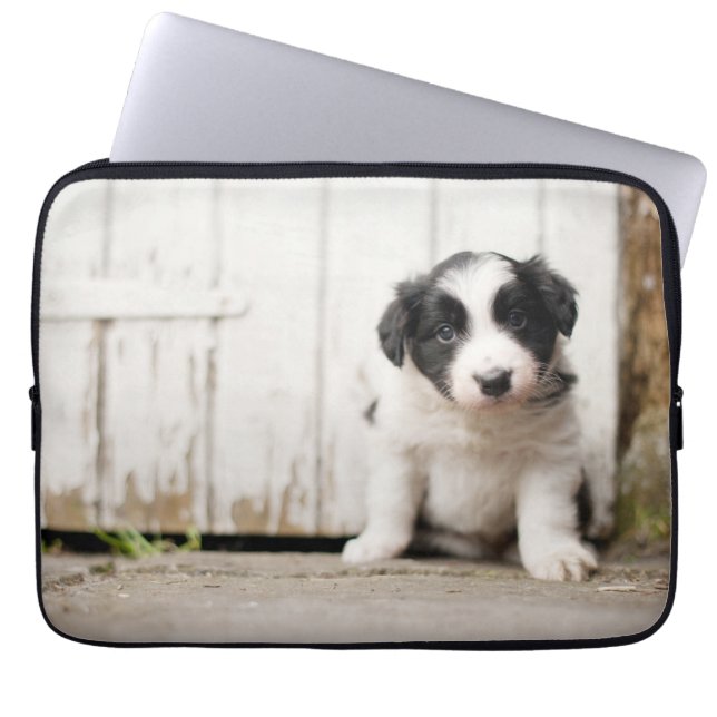 Border-Collie-Welpe Laptopschutzhülle (Vorderseite)
