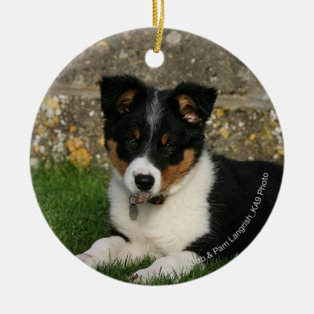 Border-Collie-Welpe mit Blatt im Mund Keramikornament (Vorne)