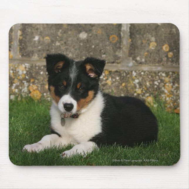 Border-Collie-Welpe mit Blatt im Mund Mousepad (Vorne)