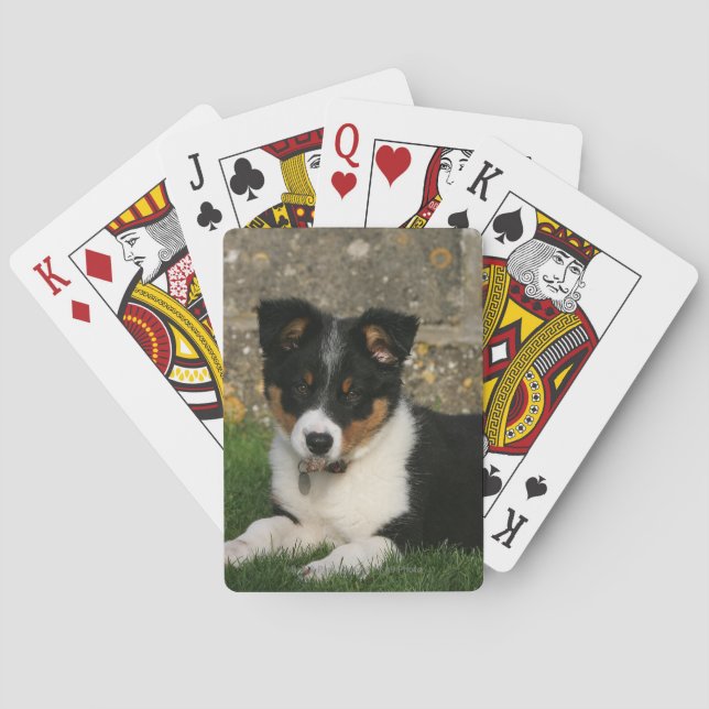 Border-Collie-Welpe mit Blatt im Mund Spielkarten (Rückseite)