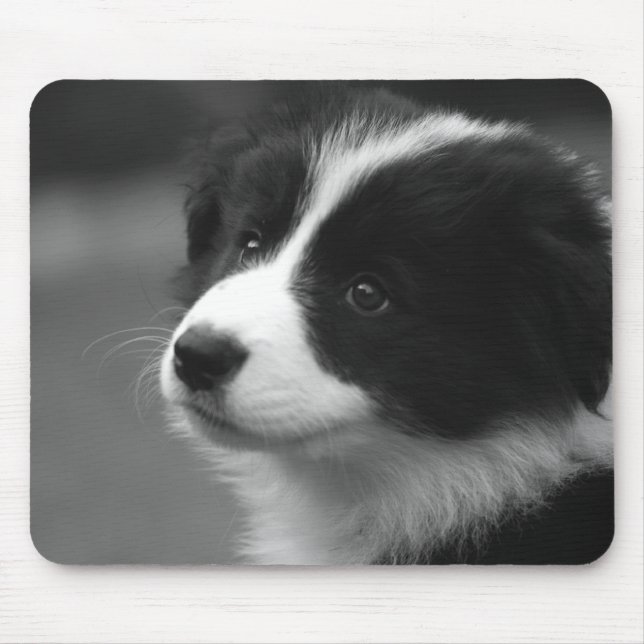 Border Collie Welpe Mousepad (Vorne)