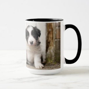 Border-Collie-Welpe Tasse