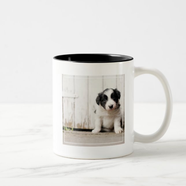 Border-Collie-Welpe Zweifarbige Tasse (Rechts)