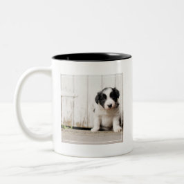 Border-Collie-Welpe Zweifarbige Tasse