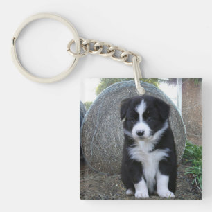 Border Collie Welpen Farm Leben, Schlüsselanhänger