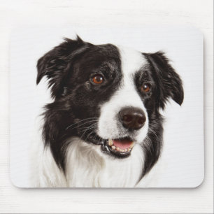 Border Collie Welpen-Mauspad Mousepad