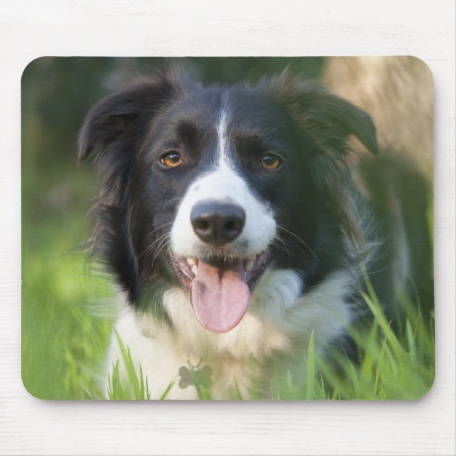 Border Collie Welpen-Mauspad Mousepad (Vorne)