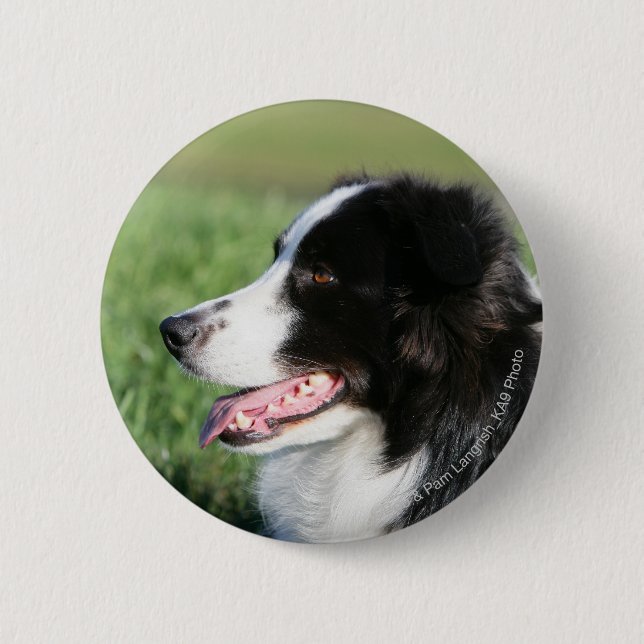 Border-Collie-Welpen-Niederlegung Button (Vorderseite)