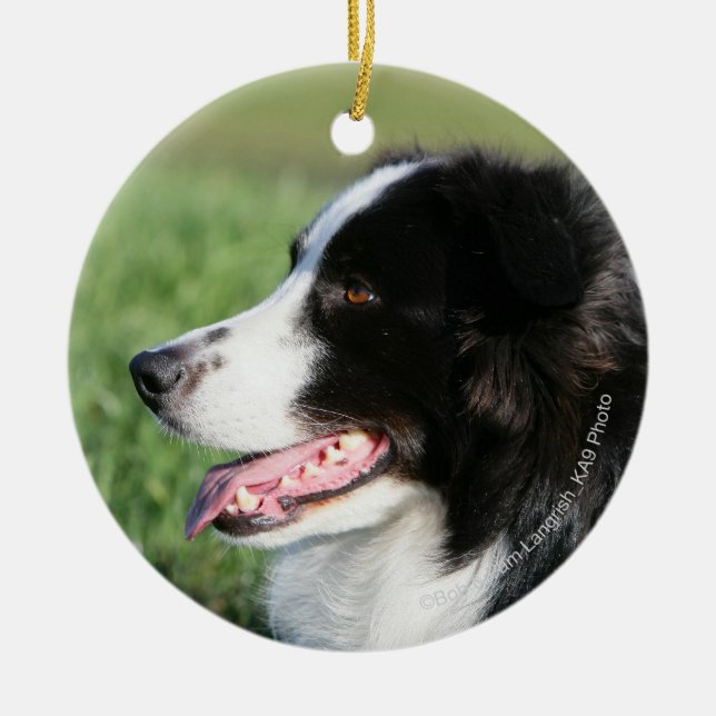 Border-Collie-Welpen-Niederlegung Keramikornament (Vorne)