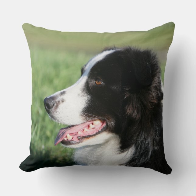 Border-Collie-Welpen-Niederlegung Kissen (Vorderseite)