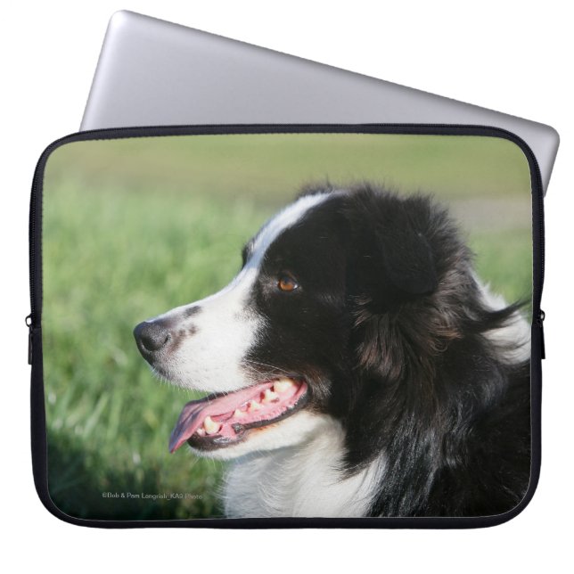Border-Collie-Welpen-Niederlegung Laptopschutzhülle (Vorderseite)