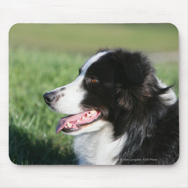 Border-Collie-Welpen-Niederlegung Mousepad (Vorne)