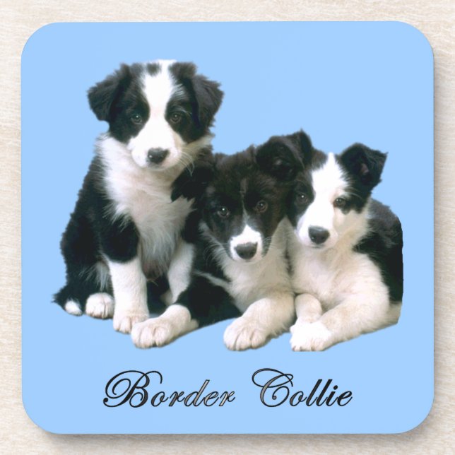 Border-Collie-Welpen Untersetzer (Vorderseite)