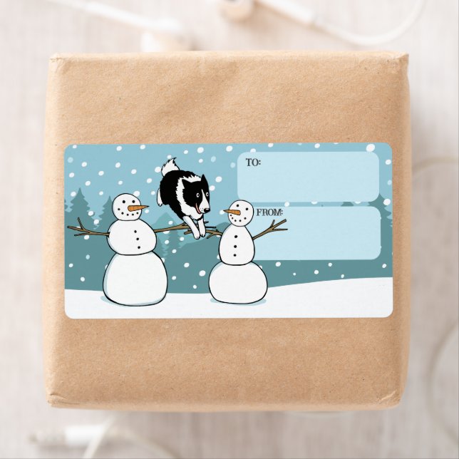 Border Collie Winter Agility Dog Holiday bis (Insitu)