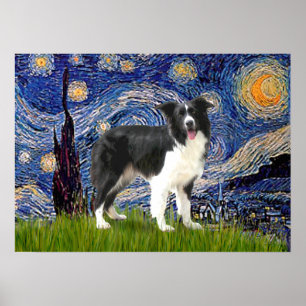 Border Collie (Z) - Starry Night Poster