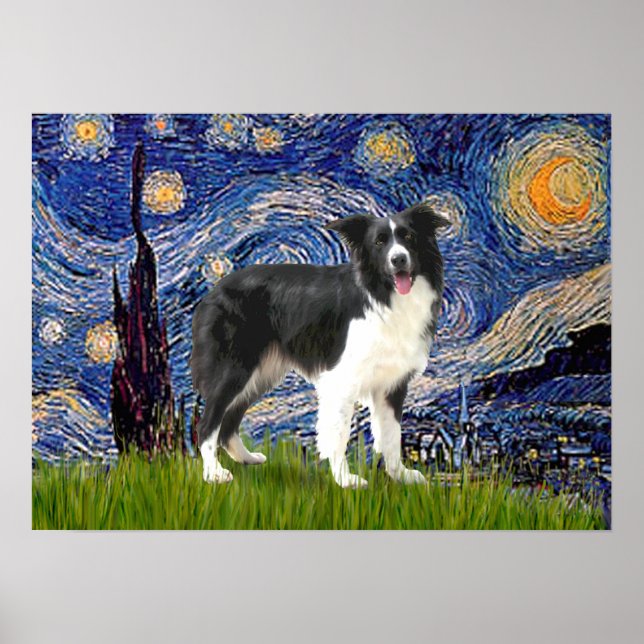 Border Collie (Z) - Starry Night Poster (Vorne)