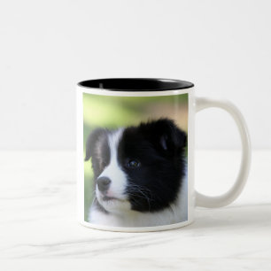 Border-Collie Zweifarbige Tasse