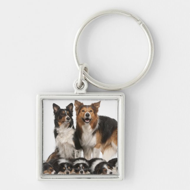 Border-Colliefamilie Schlüsselanhänger (Vorne)