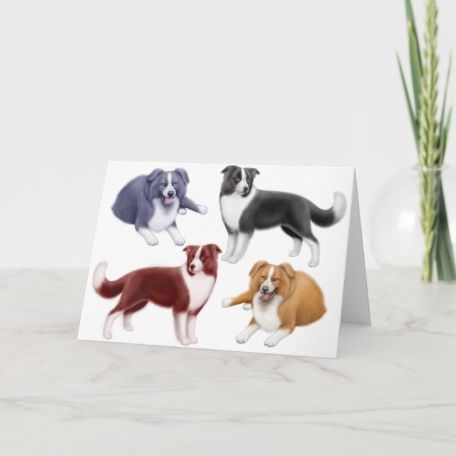Border Collies Greeting Card Karte (Vorderseite)