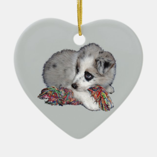 Border-Colliewelpen-Blau merle Keramikornament (Vorne)